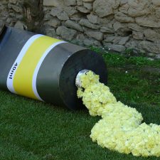 falco-girona-4272971_1280