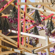 franciscojg-flower-time-761662_1280